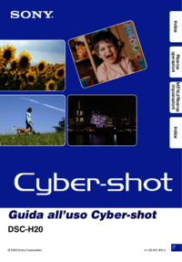 To view the document Sony DSC-H20 User Manual